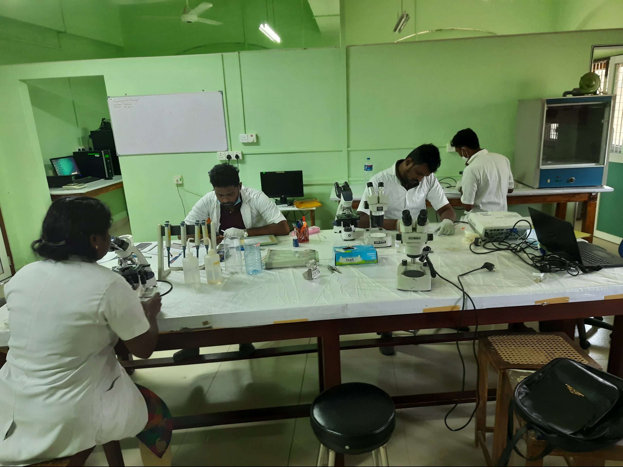 Training for MRI staff – Department of Zoology