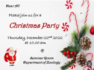 Read more about the article Christmas gathering 2022